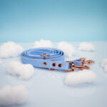 smycz-przepinana-biothane