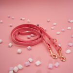 smycz-przepinana-biothane-dla-psa