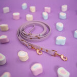 smycz-z-biothane-fioletowa