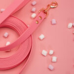 biothane smycz rozowa