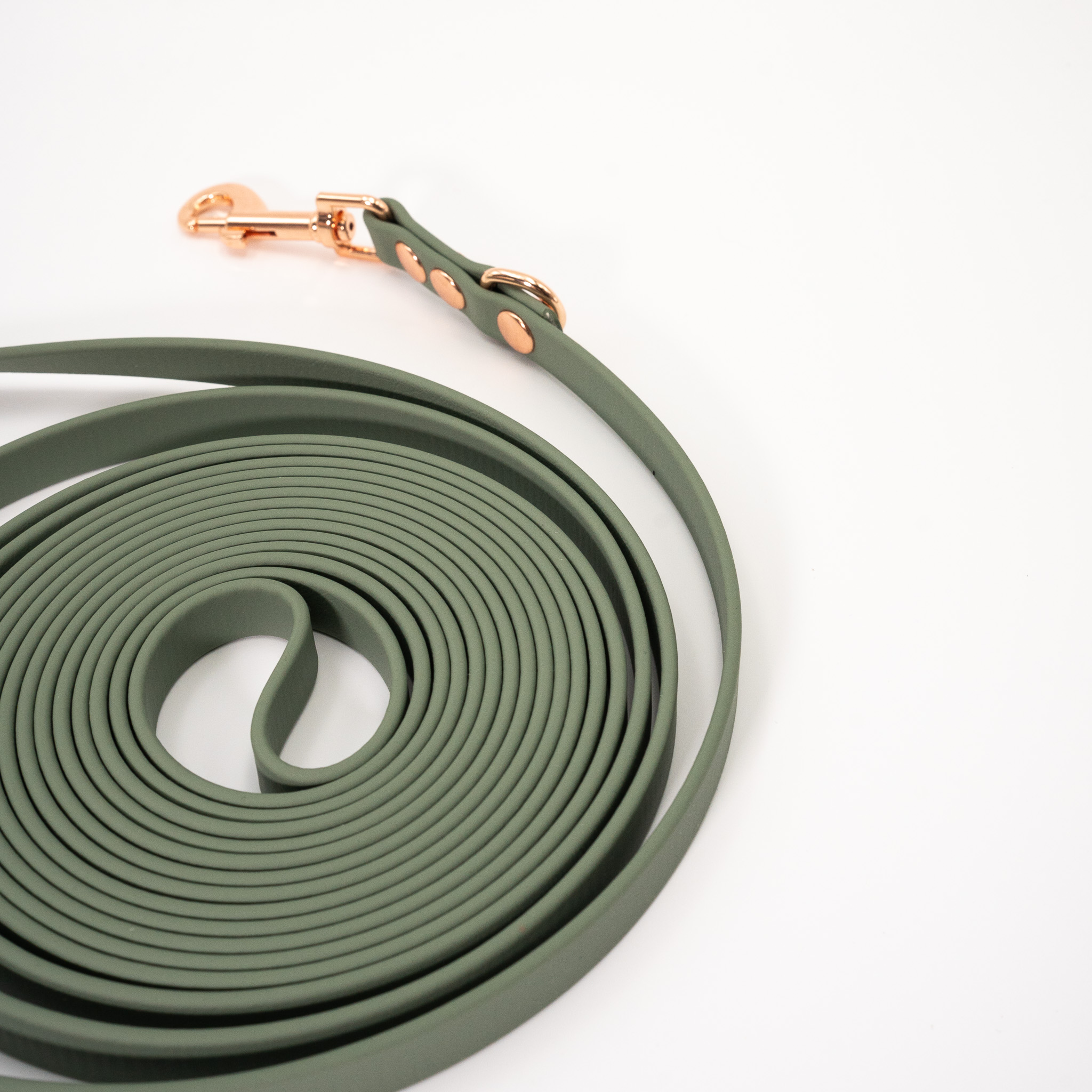 linka-dla-psa-5m-biothane-olive