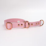 obroza-biothane-polzaciskowa-dla-psa-roz