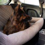 fotelik samochodowy dla duzego psa na cala kanape