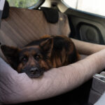 fotelik-samochodowy-na-cala-kanape-xxl