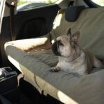 fotelik samochodowy dla psa xxl